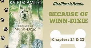 BECAUSE OF WINN-DIXIE Chapters 21 & 22 Read Aloud