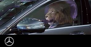 Mercedes-Ben: King of the City Jungle _ S-Class, Commercial Ad .
