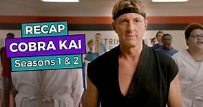 Cobra Kai: Seasons 1 & 2 RECAP