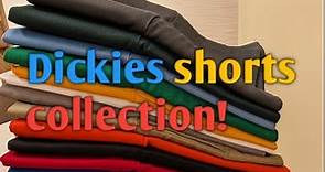 DICKIES SHORTS COLLECTION • 17 PAIRS!