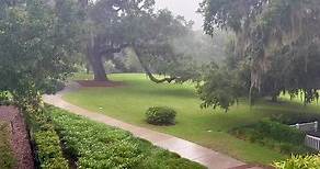 Sweet sounds of rain. | Harry P. Leu Gardens