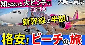 格安【大阪→東京】ピーチ航空の飛行機に乗ったら新幹線よりスゴかったｗ
