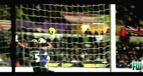 Séamus Coleman Skills and Goals - |Everton| - |HD|