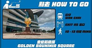 金紫荊廣場 Golden Bauhinia Square | 完整路線教學 HOW TO GO