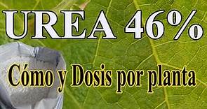 Como usar la UREA en las plantas - Dosis de urea en las plantas
