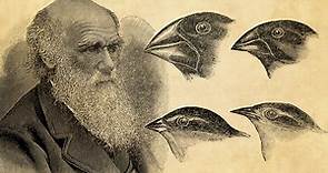 How Charles Darwin Developed the Theory of Evolution