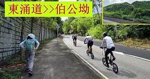 東涌道--〉伯公坳 | 非一般行山路線 | #22 (1/3)