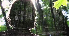 Tony Dekker - Prayer of the Woods (Official Music Video)