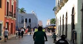 ¡Descubre el corazón de Mérida, Yucatán! ☀️ Pasea por la Plaza grande y explora la majestuosidad de la Catedral de San Ildefonso, y todo lo que el Centro tiene para ti ✨ #DescubreMérida #MéridaYucatán #CentroHistórico #ExploraMéxico #CulturaYucateca #ViajeAMérida #DescubriendoYucatán #ArquitecturaColonial #TurismoYucatán | Yucatán Today