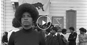 Black Panthers Revisited