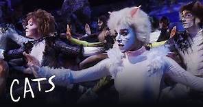 Cats the Musical 2016
