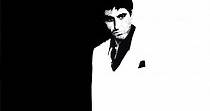 Scarface - movie: where to watch streaming online