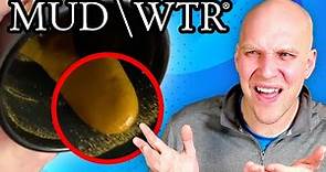 MUD\WTR Review (Pros and Cons of MUD WATER)