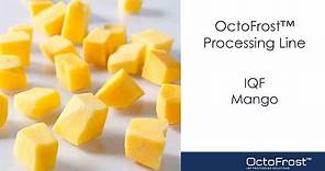 OctoFrost IQF Processing Line - Mango | Food Processing Machinery