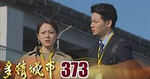 多情城市 EP373 忘不掉的愛｜Golden City