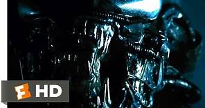 Alien (1979) - The Alien Appears Scene (3/5) | Movieclips