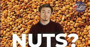 ¿Cómo se dice "NUTS" en español? | How do you say "NUTS" in Spanish?