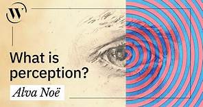 Perception, explained in 3 minutes | Alva Noë