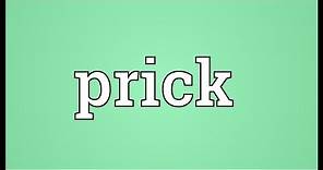 Prick Meaning