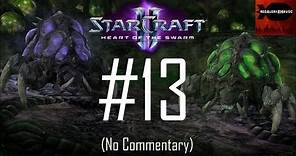 StarCraft 2: Heart of the Swarm - Campaign Playthrough Part 13 (Baneling Evolution Mission)