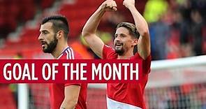 Gaston Ramirez nominated for the October Carling Goal of the Month