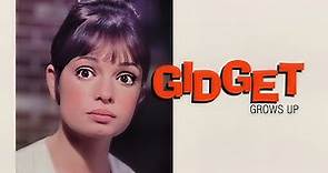 Gidget Grows Up (Romantic Comedy) ABC Movie of the Week -1969