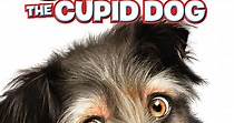 Gabe the Cupid Dog streaming: where to watch online?