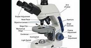 What is Microscope, different types of microscope, work, advantage and working principle