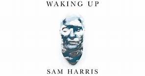 Waking Up with Sam Harris - Looking for the Self (26 Minute Meditation)