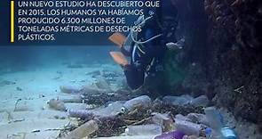La "isla de basura" es una amenaza para la vida marina en el Pacífico - National Geographic en Español