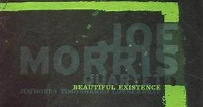 Joe Morris Quartet - Beautiful Existence