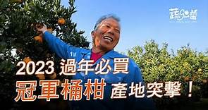 2023 桶柑必吃 | 現採桶柑、橘子果園 紀實短片 | 台灣農產