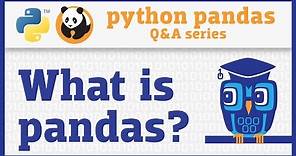 What is pandas? (Introduction to the Q&A series)