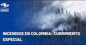 Continúa la lucha para controlar los incendios en Colombia: este es el panorama nacional