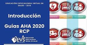 RCP Guías AHA 2020: Introducción
