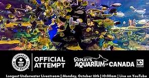 Ripley's Aquarium of Canada Longest Underwater Livestream Guinness World Record Attempt