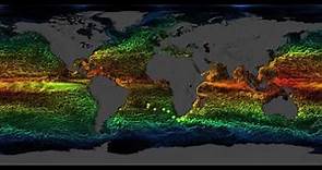 Global Sea Surface Currents and Temperature