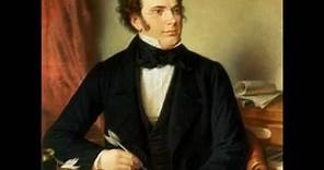 Franz Schubert: "La muerte y la doncella" - 2. Andante con moto