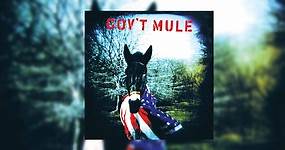 Revisiting Gov’t Mule’s Eponymous Debut Album ‘Gov’t Mule’ (1995) | Retrospective Tribute