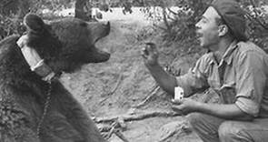 Story of Poland's 'soldier bear' Wojtek turned into film