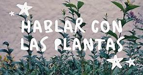 HABLAR CON LAS PLANTAS 🌿 | ¿Funciona? ¿Mito o realidad? | El caso Burbank