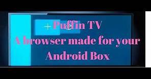 Puffin TV A browser made for your Android Box