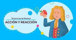 Tercera ley de Newton: Acción y reacción | Leyes de Newton