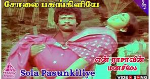 Sola Pasunkiliye Video Song | En Rasavin Manasile Movie Songs | Rajkiran | Meena | Ilaiyaraaja