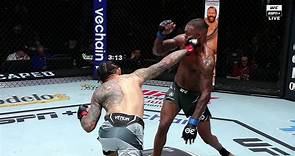 Diego Ferreira ONE-PUNCH KO of Michael Johnson at #UFCVegas73 | ESPN MMA