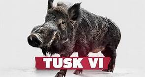 Tusk VI makes debut at Bud Walton