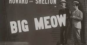 The Big Meow (1934)