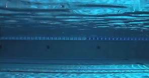 游泳教程：自由泳教学，最简单易懂的基本泳姿动作分解！