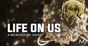 Life on Us: A Microscopic Safari (2014) || Healthcare Documentary Movie Summary