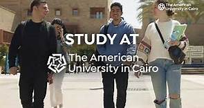 Study in Egypt, Study at The American University in Cairo